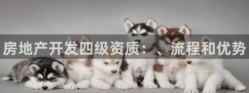 永利输的钱可以弄回来吗