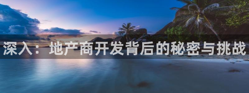 永利房地产有限公司