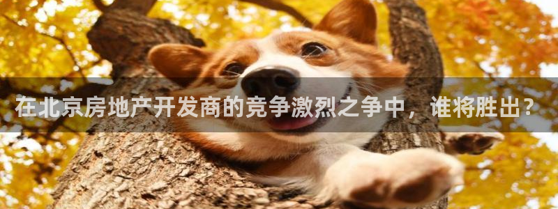 永利表行的手表是正品吗