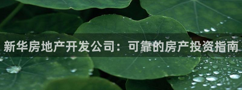 永利酒店有几家