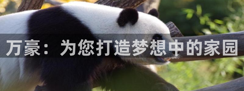 永利制带有限公司