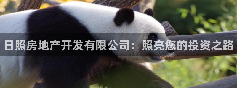 永利官网正网