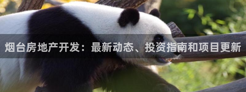 莱州永利集团