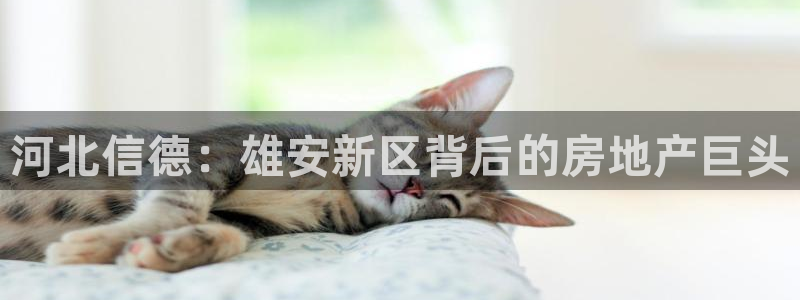 永利汇有什么服务