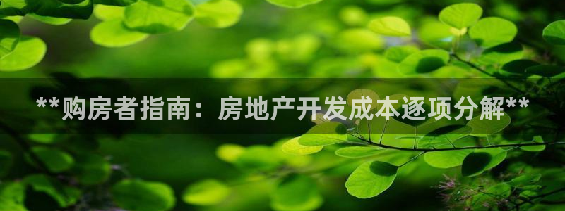 永利工业制带