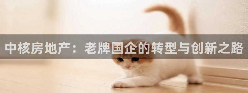 永利皮带官网旗舰店