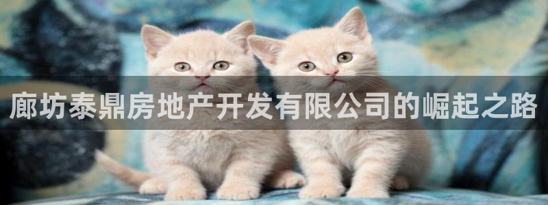 永利官方网招聘最新消息