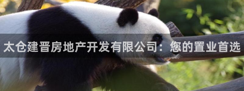 永利背一分什么价格
