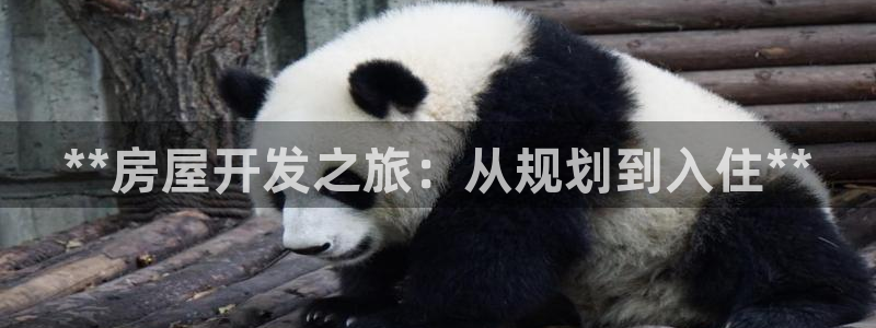 永利官网正网