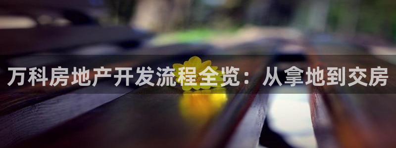 浙江永利集团董事长