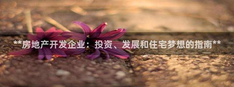 永利批发市场在哪里