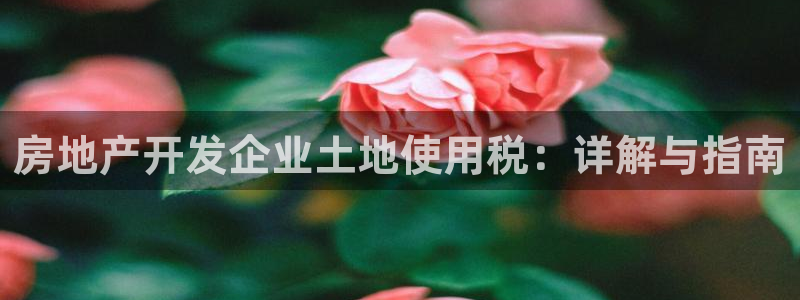 永利皮革