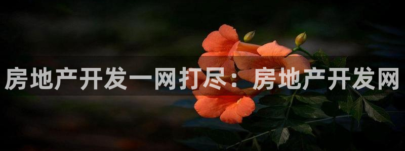 永利皇府黄立青