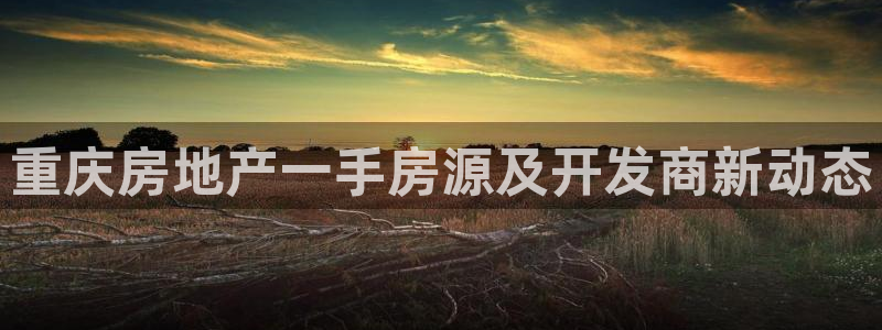 永利杯掼蛋比赛