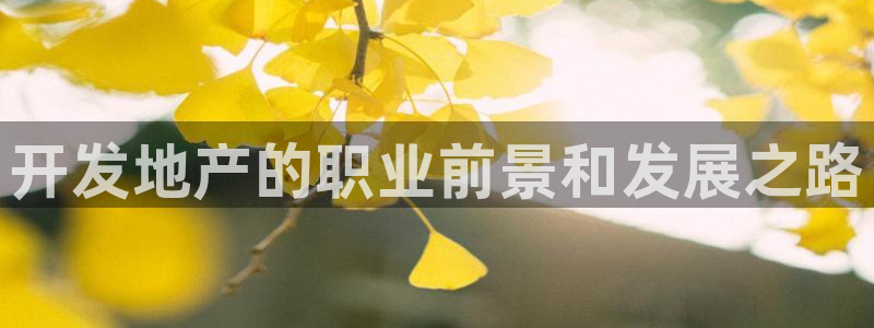 永利提现什么时候到账