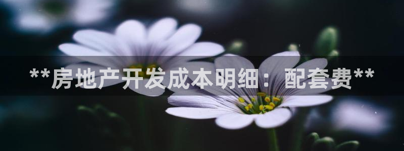 滨州永利篮球俱乐部老板