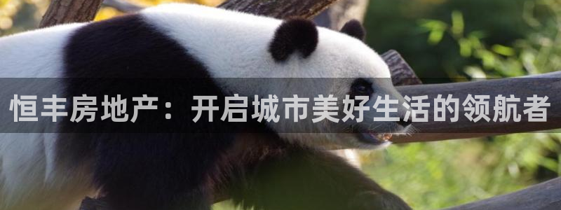 永利皮带官网价格查询表