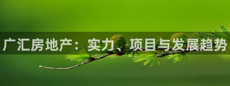 佛山永利工业皮带有限公司