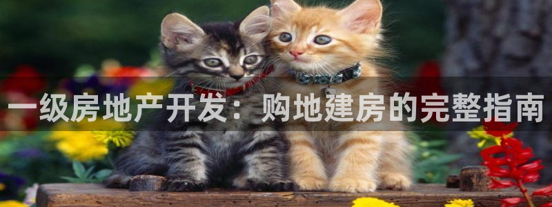 3044am永利集团 官网