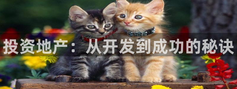永利房地产有限公司董事长是谁