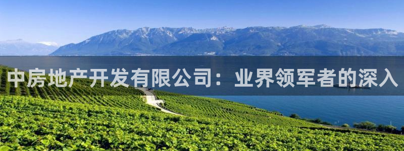 永利制带