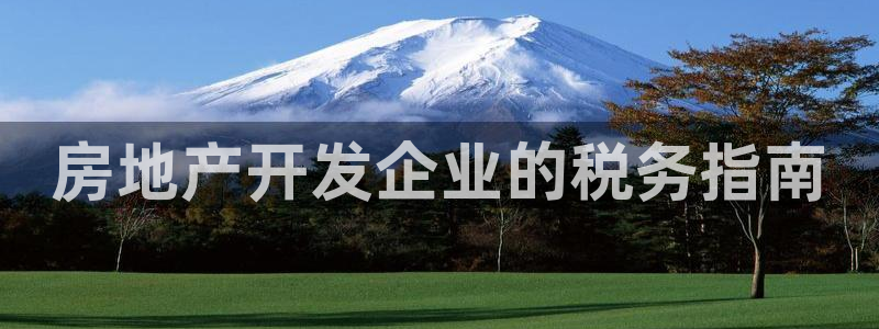 永利股份有限公司