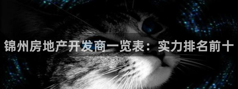 永利房地产有限公司董事长是谁