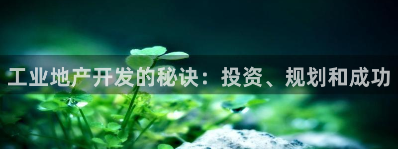 永利积分卡怎么算的