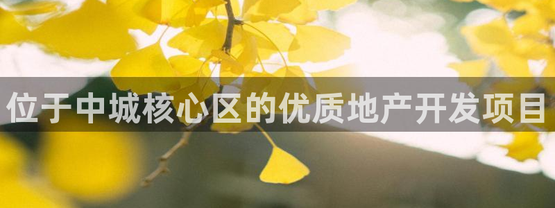 永利来织带厂