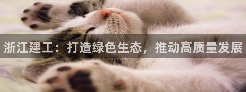 永利带钢