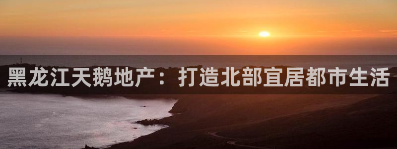 永利汇有什么服务
