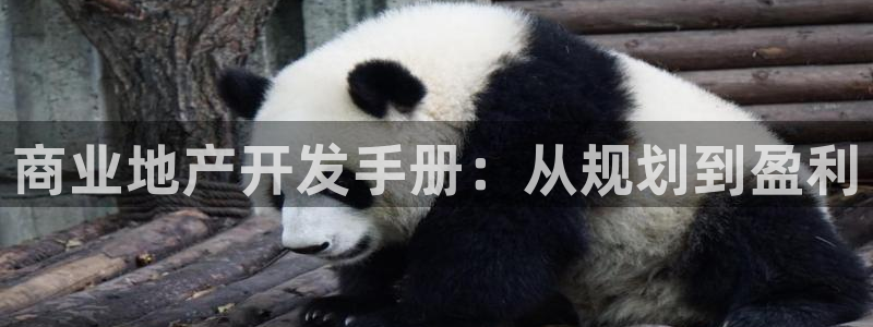 永利网会员