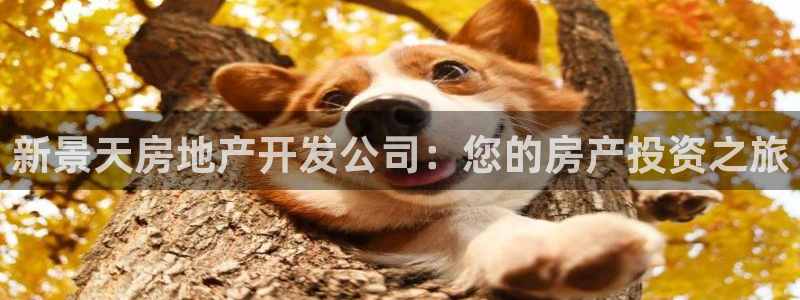永利股份有限公司