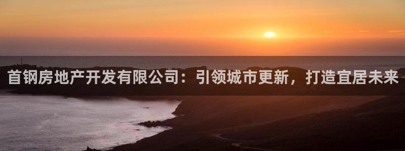 永利房地产开发有限公司总经理