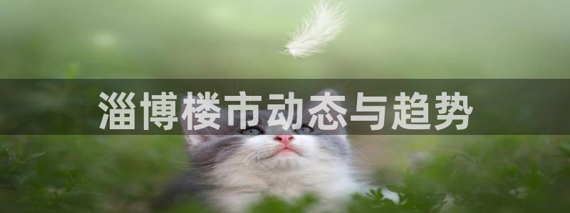 佛山永利工业皮带