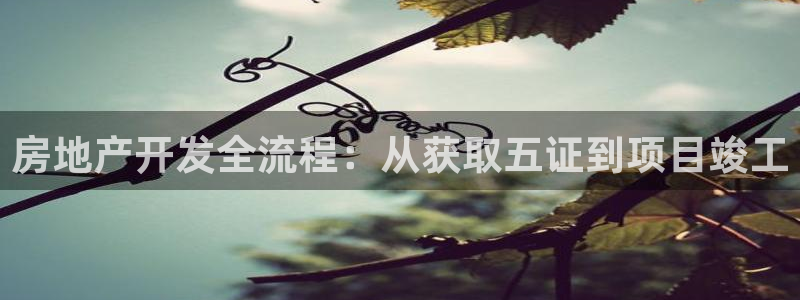 永利技术