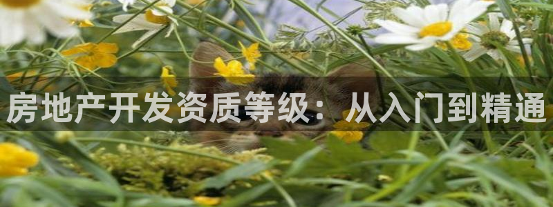 永利纺织厂