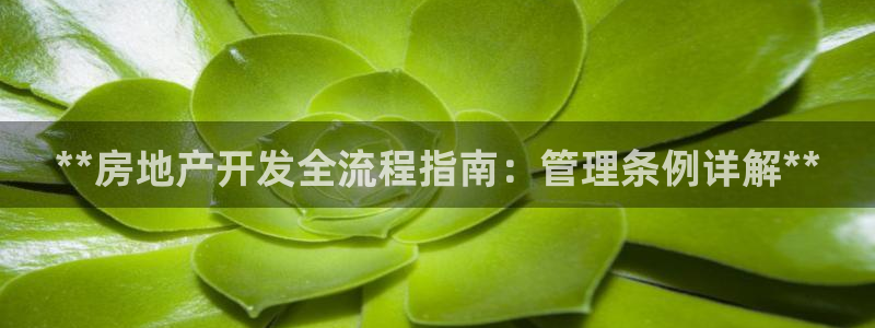 永利金控控股有限公司