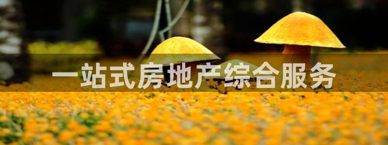 浙江永利集团董事长