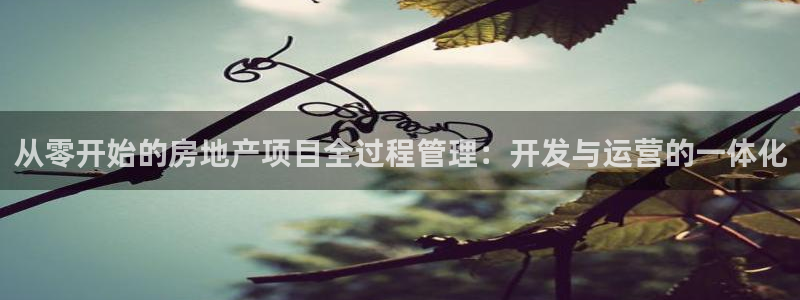 永利股份做什么
