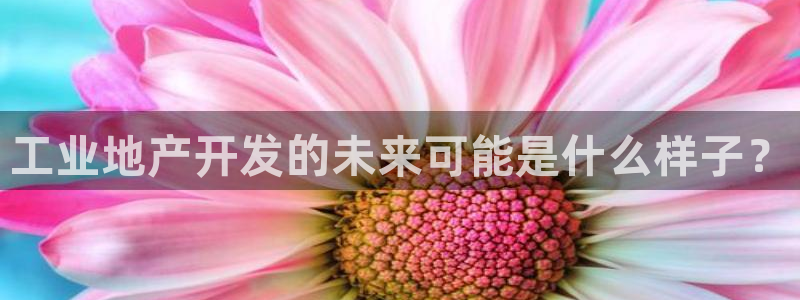 永利工业制带