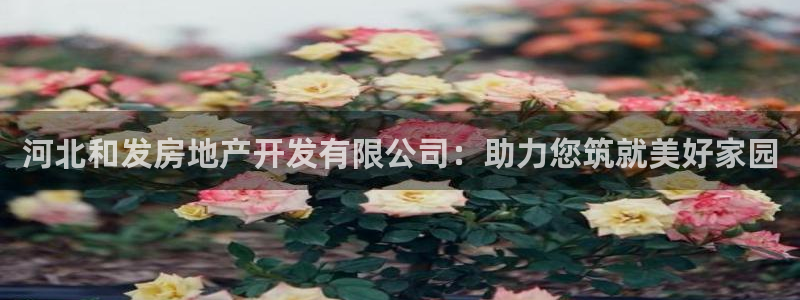 永利家具厂怎么样