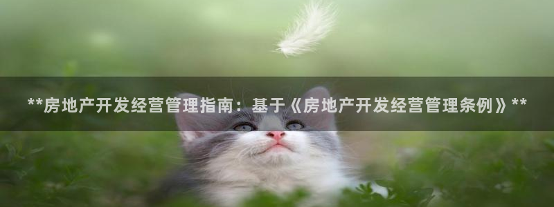 永利公司是干嘛的