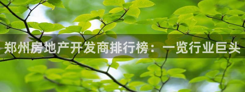 永利杯掼蛋比赛