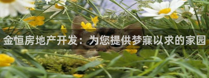 永利来织带厂