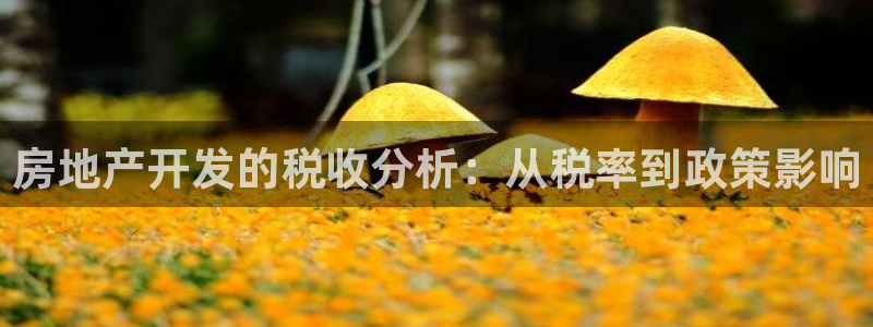 永利有限公司