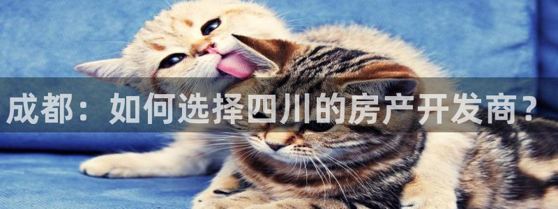 永利宝高管