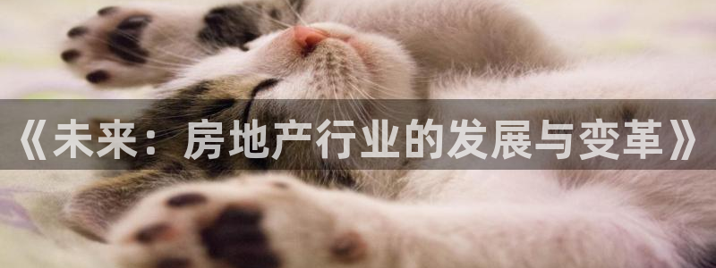 永利皮革有限公司怎么样