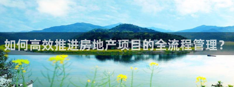 谁知道永利的网址