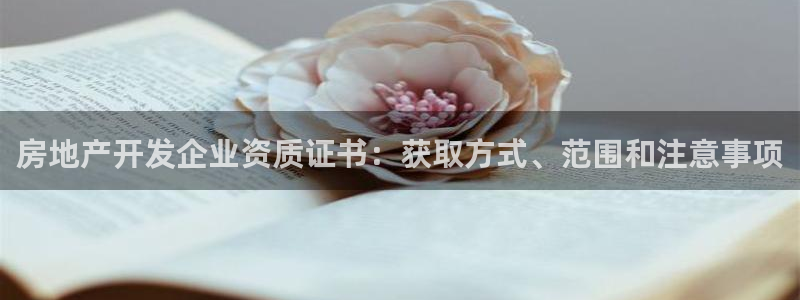 永利玩法